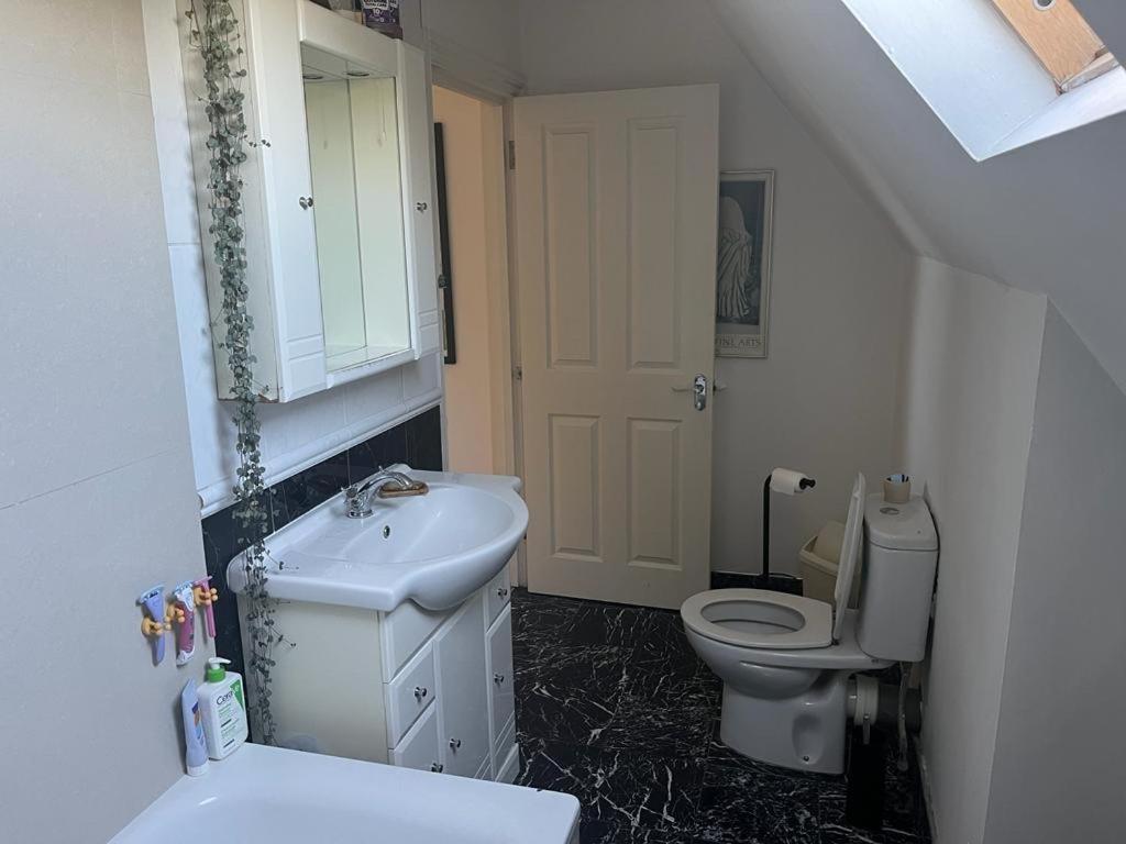 2 Bedroom Top Floor Flat, West Dulwich Free Street Parking ลอนดอน ภายนอก รูปภาพ